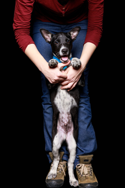 vista recortada de mujer en jeans con perro en cuello en patas traseras aisladas en negro
 - Foto, Imagen