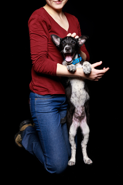 vista recortada de mujer en jeans y suéter rojo con perro en cuello en patas traseras aisladas en negro
 - Foto, Imagen