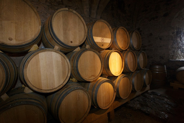 Wine barrels - Photo, Image