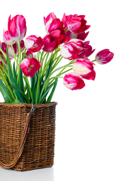 tulipas rosa brilhantes em uma cesta de vime
 - Foto, Imagem