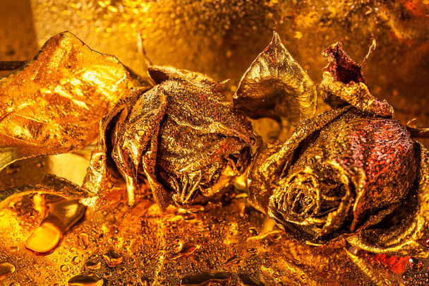 Abstract macro fine-art background with golden roses and water drops. Symbol of love, wealth, rich. - Fotografie, Obrázek