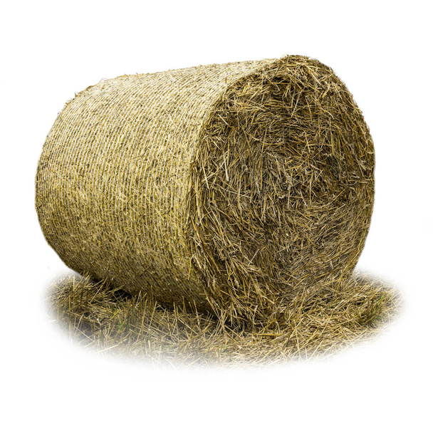 Round bale of straw covered with mesh .Straw is a widely used organic material for bedding livestock on a dairy farm. Isolated photo . - Photo, Image