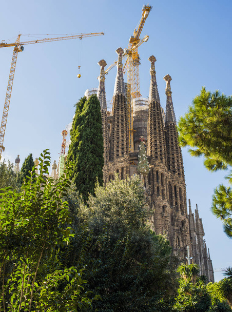 Sagrada Familia Barselona Spain - Foto, Bild