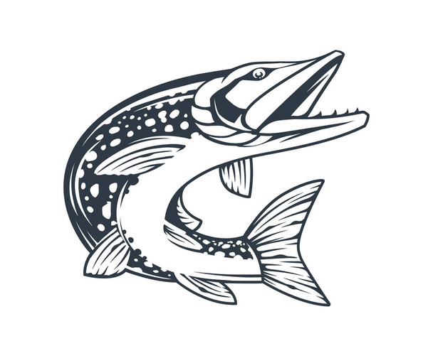Pike Fish Monochrome Vector Isolated - Vector, Image