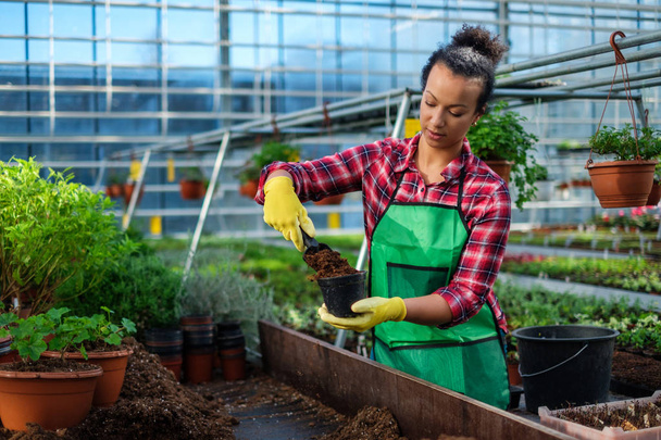 Musta nainen työskentelee kasvitieteellinen puutarha
 - Valokuva, kuva