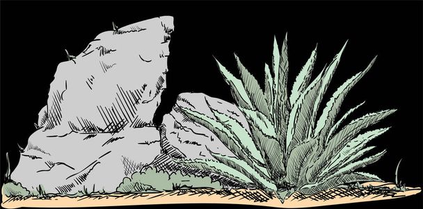 Desert Cactus  - Vetor, Imagem