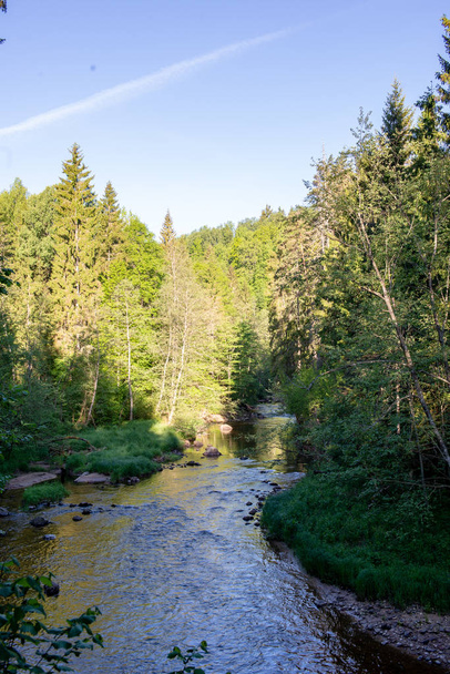 auringonnousu metsäjoen yllä metsässä, varhainen valo Amata-joella Latviassa. stream kiviä ja vihreitä lehtiä kesällä
 - Valokuva, kuva