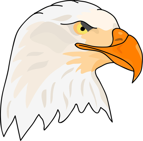 Eagle - Wektor, obraz