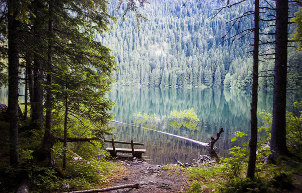 Crno 湖湖、ドゥルミトル、モンテネグロで緑の森林公園のベンチ. - 写真・画像