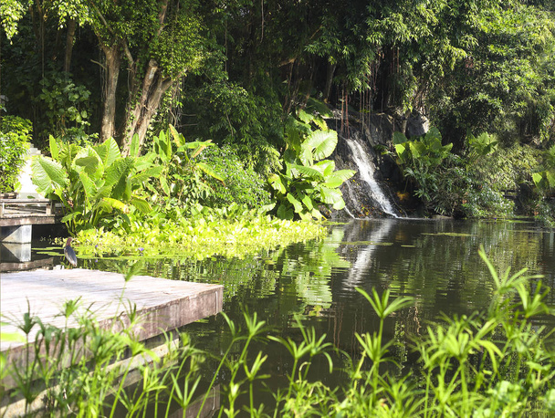 Beautiful little waterfall in tropical forest - Photo, Image