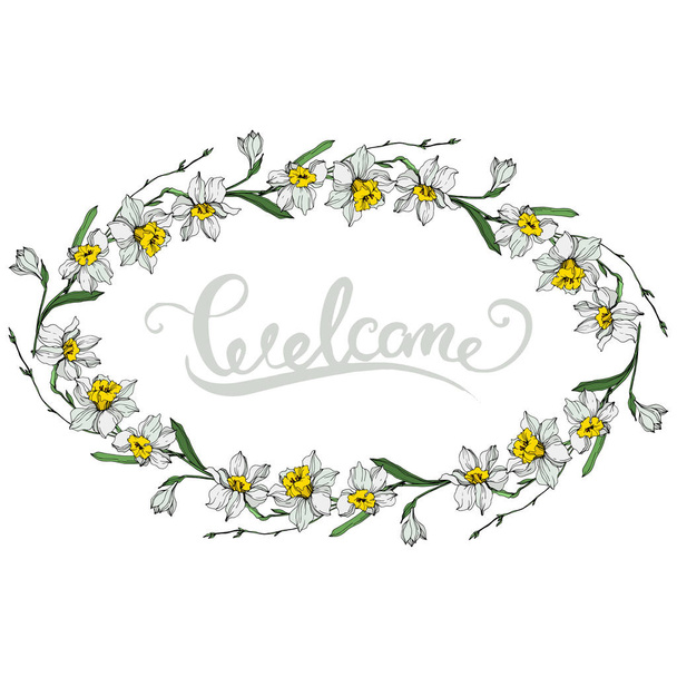 Vector Narciso blanco flores. Tinta grabada sobre fondo blanco. Marco borde ornamento con letras de bienvenida
. - Vector, imagen