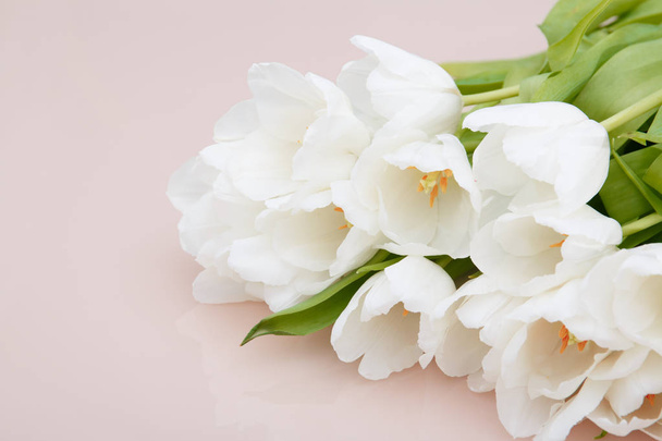 White tulips on pale pink background - Foto, Bild