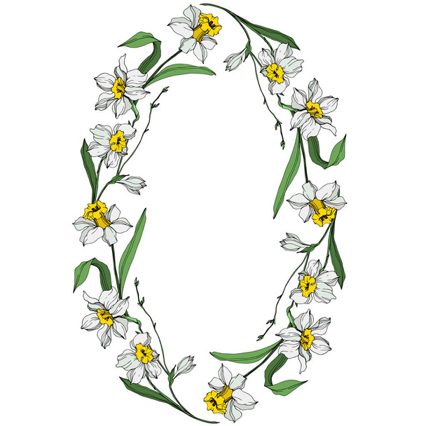 Vector White narcissus flowers with green leaves. Engraved ink art on white background. Frame border ornament with copy space. - Vecteur, image