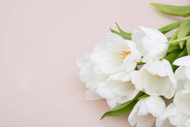 White tulips on pale pink background with morning sunlight. Stylish Compositions in pastel colors. - Foto, Bild