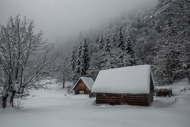 deux cabines couvertes de neige dans la dérive de neige - Photo, image