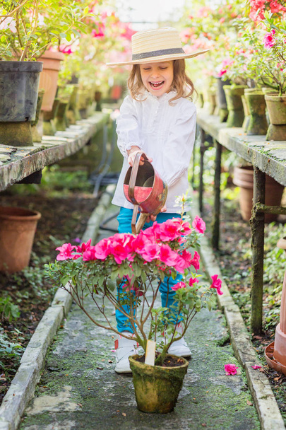 Little girl helps watering plants and gardening in greenhouse - Foto, Bild