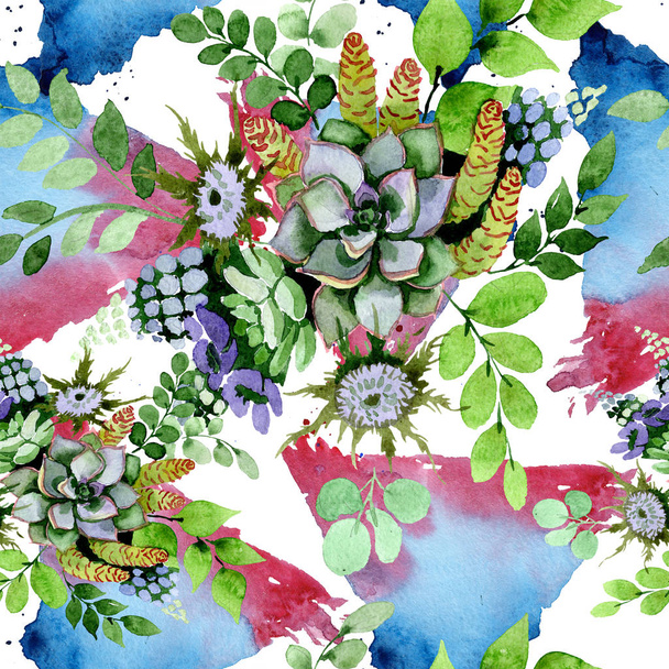 Succulent bouquet botanical flowers. Wild spring leaf wildflower. Watercolor illustration set. Watercolour drawing fashion aquarelle. Seamless background pattern. Fabric wallpaper print texture. - Valokuva, kuva