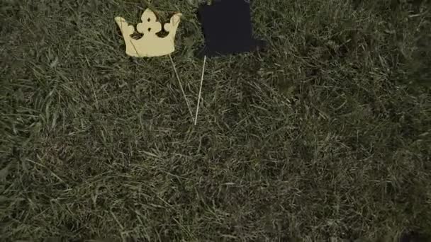 hoed van papier en de kroon op een stok liggen op het gras. - Video