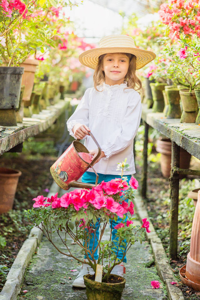 Little girl helps watering plants and gardening in greenhouse - Foto, Bild