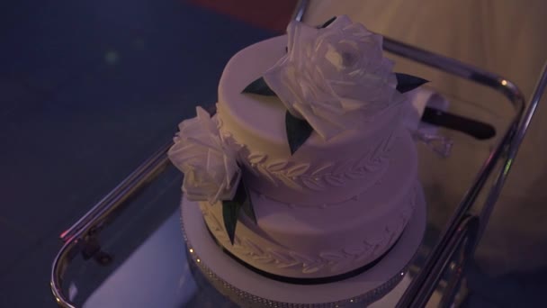 Gâteau de mariage d'un couple gay pendant la fête de mariage pendant que les photographes tournent. Homo fête de mariage
 - Séquence, vidéo