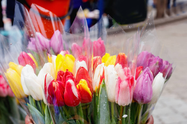 Kleurrijke tulpen, rozen en andere bloemen in potten bij binnenkomst - Foto, afbeelding