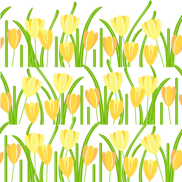 Crocus seamless background. Yellow spring flowers, green leaves on white background. Flat design element stock vector illustration for web, for print - Vektor, Bild