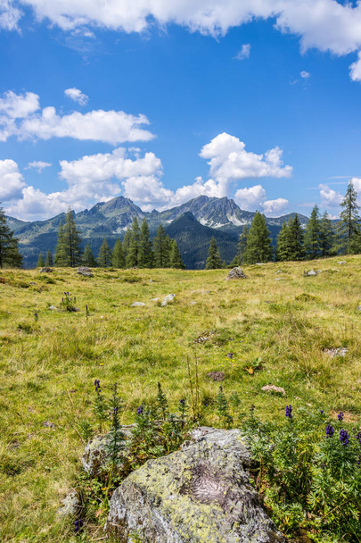 Idyllic mountain landscape in the alps: Beautiful scenery of mea - Фото, изображение