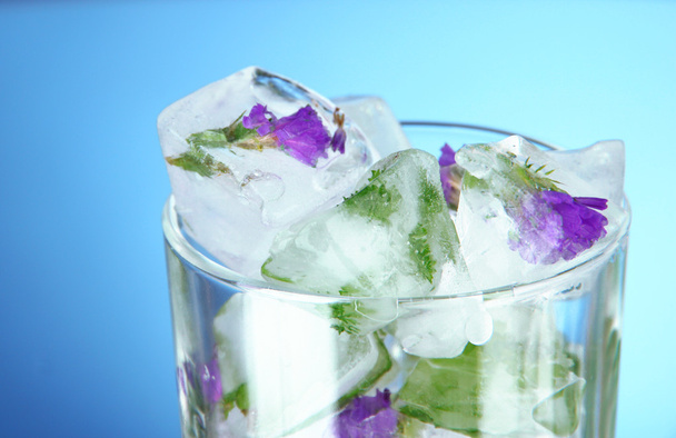 Ice cubes with flowers and herbs in glass, on blue background - Фото, изображение
