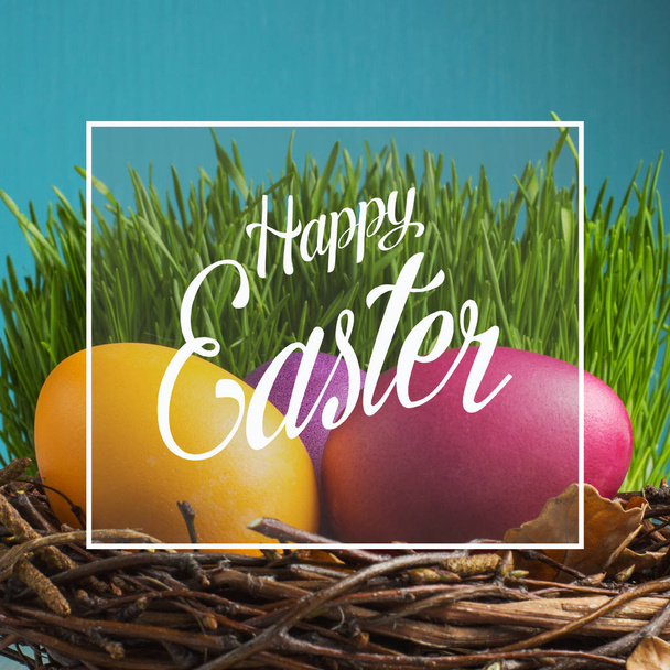 colored Easter eggs in the nest - Foto, immagini