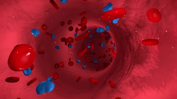 Animacja krwiobiegu z komórkami krwi i wirusami grypy przepływających przez żyły - Materiał filmowy, wideo