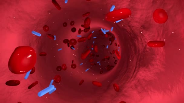 animação da corrente sanguínea com células sanguíneas e vírus da gripe que fluem através de uma veia
 - Filmagem, Vídeo