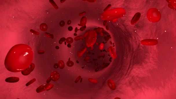 animation of bloodstream with blood cells flowing through a vein - Footage, Video
