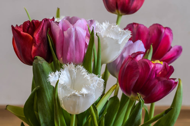 Multi-colored bloomed tulip flowers in a vase - Фото, зображення