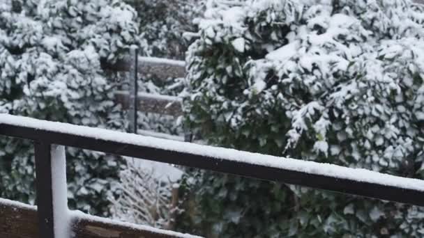 Snow falling during snow storm on backyard - Footage, Video