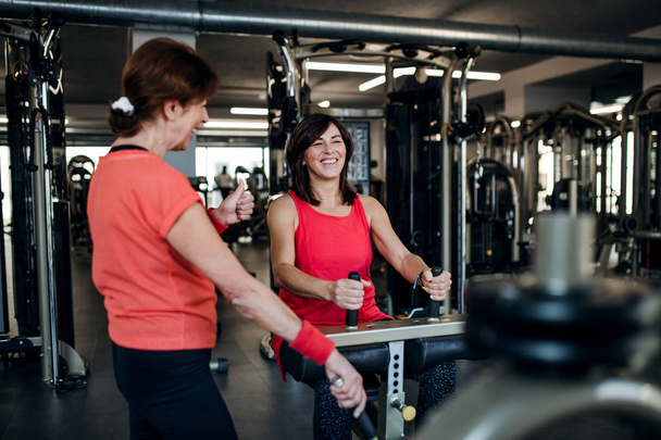 Two cheerful senior women in gym doing strength workout exercise. - Foto, afbeelding