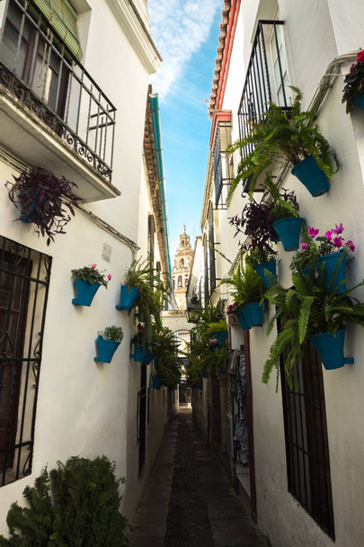 Proslulé ulice květin s hrnce plné květin v Cordoba - Fotografie, Obrázek