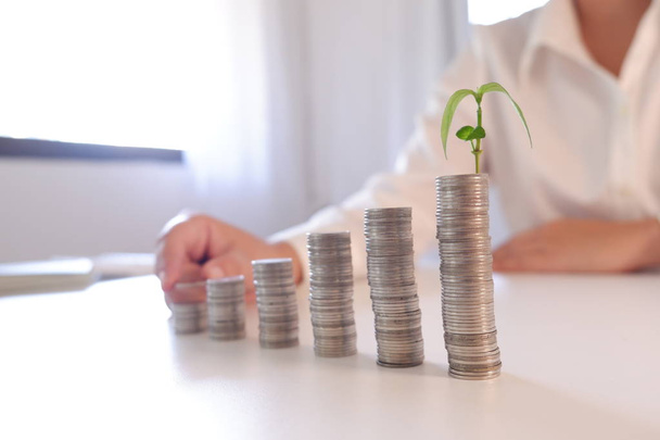 growing plant on coin stack  row of coins for finance and banking concept - Photo, Image