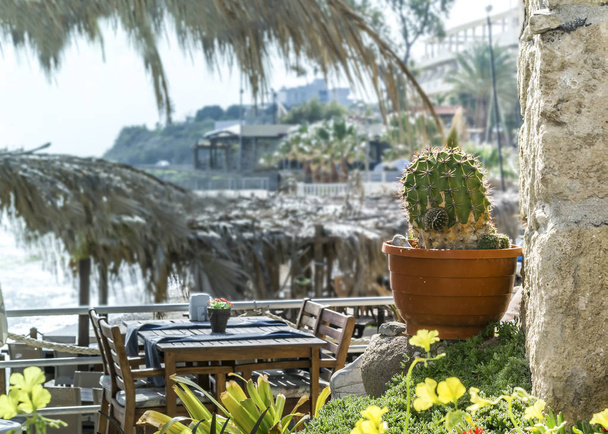 Pequeño restaurante en la costa mediterránea. Estilo mediterráneo tradicional. Cactus viejo en una olla al lado de la pared
 - Foto, imagen