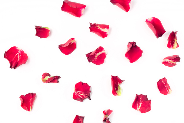 Rose flowers petals on white background. Valentines day background. Flat lay, top view, copy space. - Photo, Image