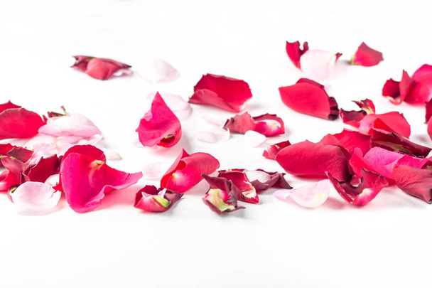 Rose flowers petals on white background. Valentines day background. Flat lay, top view, copy space. - Photo, image