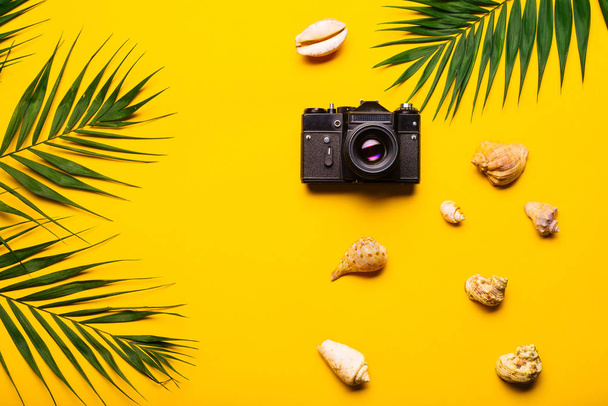 Flat lay acessórios viajante com folha de palma, conchas, câmera. Top vista viagem ou férias conceito
. - Foto, Imagem