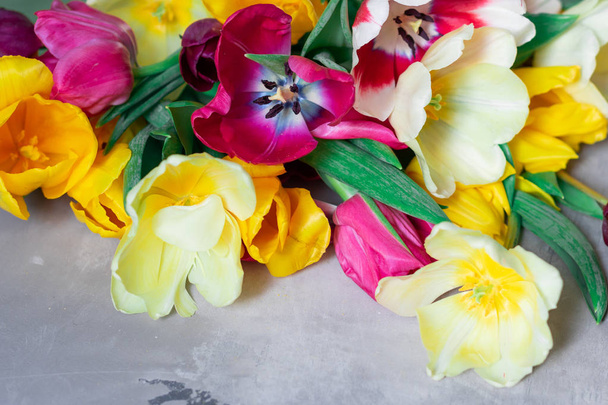 Bouquet of multicolored tulips. - Fotoğraf, Görsel