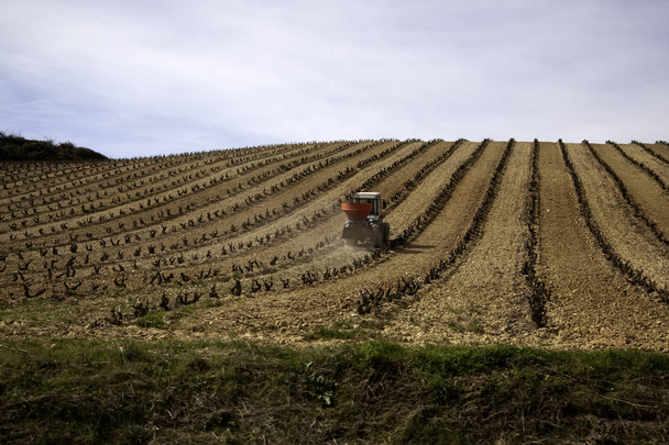 traktor-mező - Fotó, kép