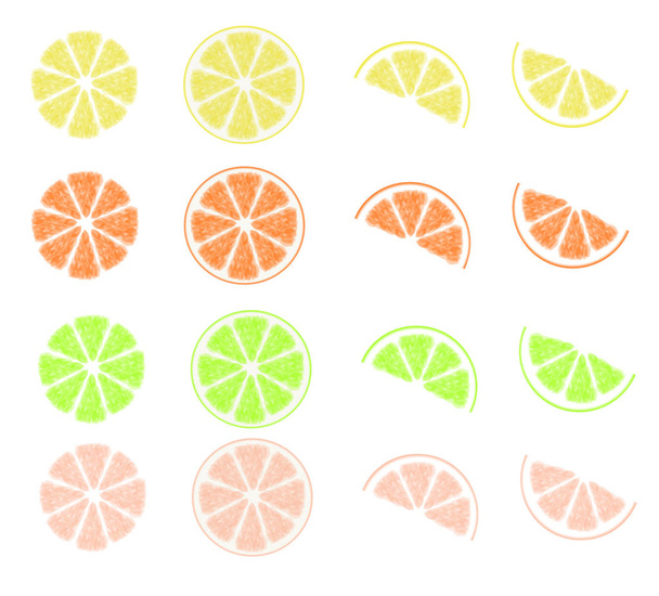 citrus fruits - Vector, Image