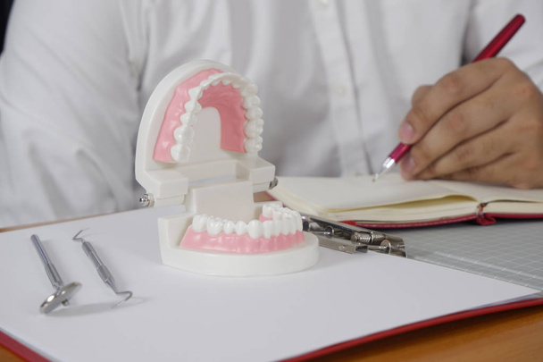 fogorvos tooth modell és eszközök professzionális fogászati klinika, fogászati és egészségügyi koncepció asztalnál ül - Fotó, kép