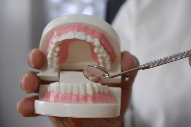 Zahnarzt mit Werkzeugen auf Zähne Modell in Zahnarztpraxis professionelle Zahnklinik, zahnärztliche und medizinische Konzept - Foto, Bild