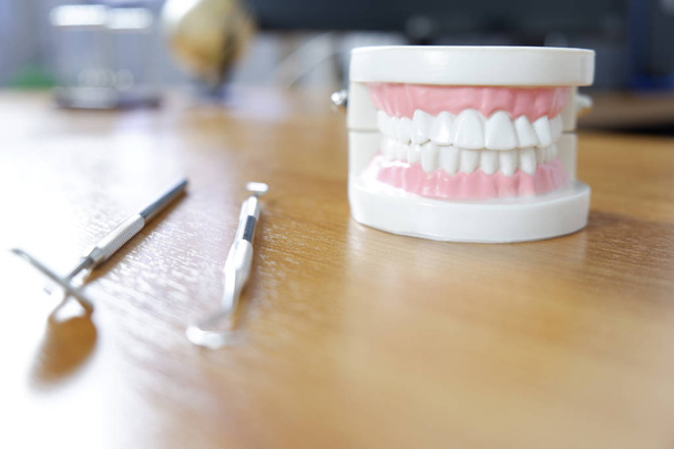 Modelo de dientes en la mesa del dentista en el consultorio, concepto dental y médico
 - Foto, Imagen