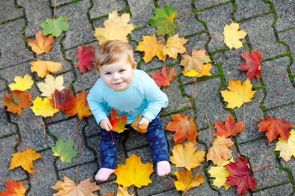 Adorable little dziewczynka jesień Park słoneczny ciepły dzień października z liści dębu i klonu. Spadek liści. Rodzinne zabawy na świeżym powietrzu w upadku. dziecko, uśmiechając się. Dziecko obchodzi dziesięć miesięcy. - Zdjęcie, obraz
