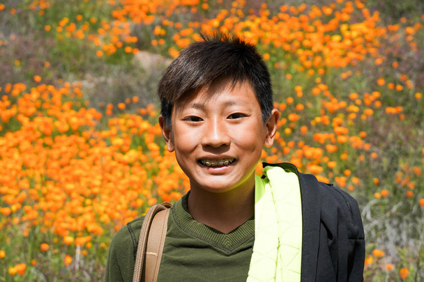 junger, sportlicher asiatischer Junge, der den Berg während der Blütezeit des kalifornischen Goldmohns und der Goldfelder in der Walker Canyon, Lake Elsinore, ca. USA. asiatisches Kind auf dem Weg durch den Berg - Foto, Bild