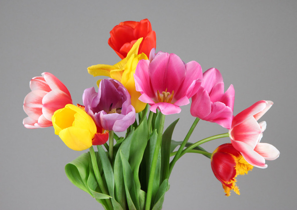 Beautiful tulips in bouquet on gray background - Фото, изображение